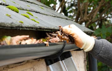 gutter cleaning Prees Green, Shropshire